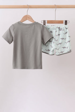 Gray Shark Knit Set