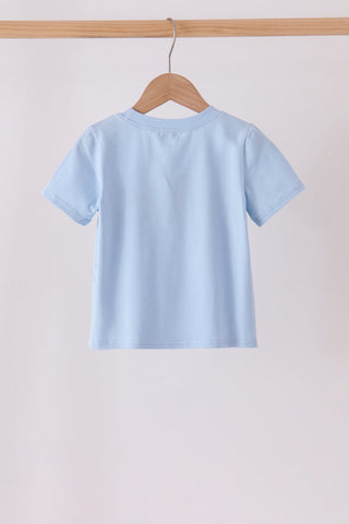 Blue pumpkin embroidery top
