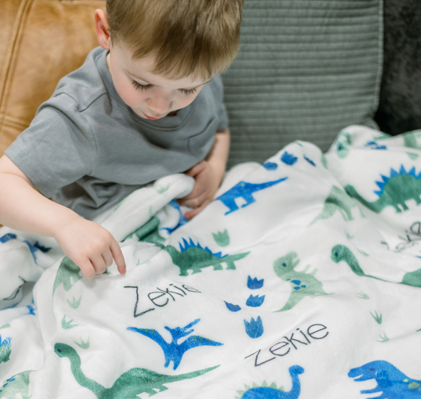 Blues and Greens Dino Minky Name Blanket