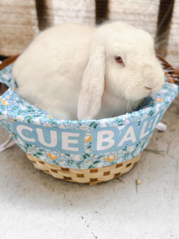 Personalized Easter Basket Liner - Blue Bunny