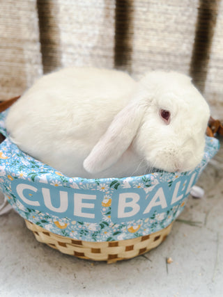 Personalized Easter Basket Liner - Blue Bunny