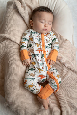 Boho Dinosaur | Zippy